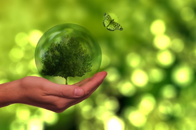 http://ar.imd-corporate.com/wp-content/uploads/2024/11/Sustainability-640x427.jpg